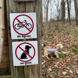 Aspetuck Valley Trail