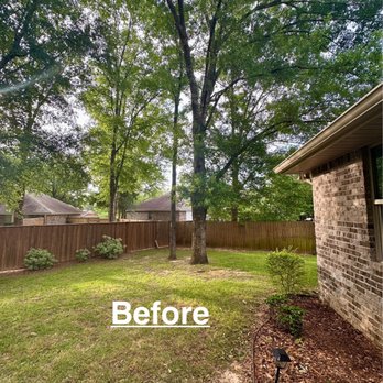Wiese Tree Service - Tree Services Near Me - Mobile, Alabama Wiese Tree Service - Tree Services Near Me - Mobile, Alabama