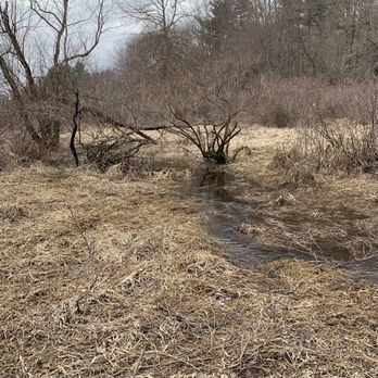 Nod Brook Wildlife Management Area - Nod Brook Trickle - Parks Near Me - Simsbury, Connecticut Nod Brook Wildlife Management Area - Nod Brook Trickle - Parks Near Me - Simsbury, Connecticut