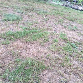 Grassworks - a patch of dead grass on a hillside - Landscaping Near Me - Hummelstown, Pennsylvania