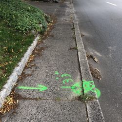 Able Tex Sewer Rooter