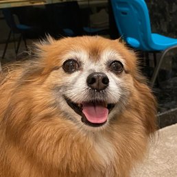 His smile says it all