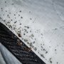 Photo of Tulsa Termite Masters