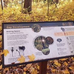 Forest Exploration Center