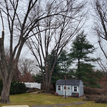 G's Friendly Tree Service - Tree Services Near Me - Manchester, Connecticut G's Friendly Tree Service - Tree Services Near Me - Manchester, Connecticut