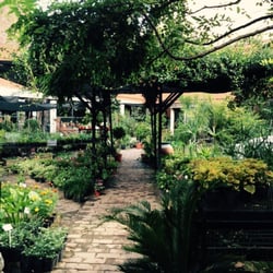 Vivero Diseño Verde