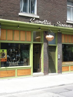 Camellia Sinensis | Boutique by null