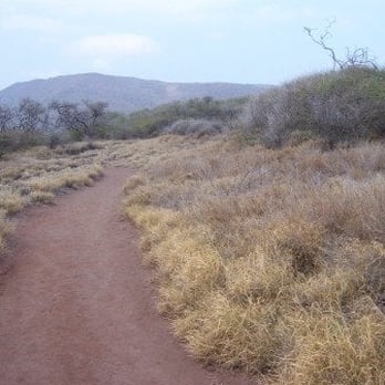 Adventure Lanai EcoCentre - Trail 2 - Hotels Near Me Adventure Lanai EcoCentre - Trail 2 - Hotels Near Me