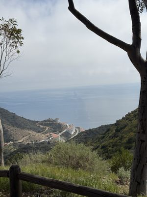 Catalina Island Conservancy Trailhead by null