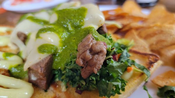 The Social Haus by null