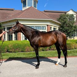 user provided Lane's End photo