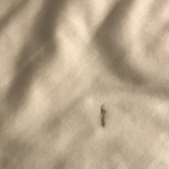 Ebb Tide Oceanfront Inn - Black marks on sheets - Hotels Near Me - Seaside, Oregon Ebb Tide Oceanfront Inn - Black marks on sheets - Hotels Near Me - Seaside, Oregon