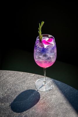 Harriet's Rooftop by null