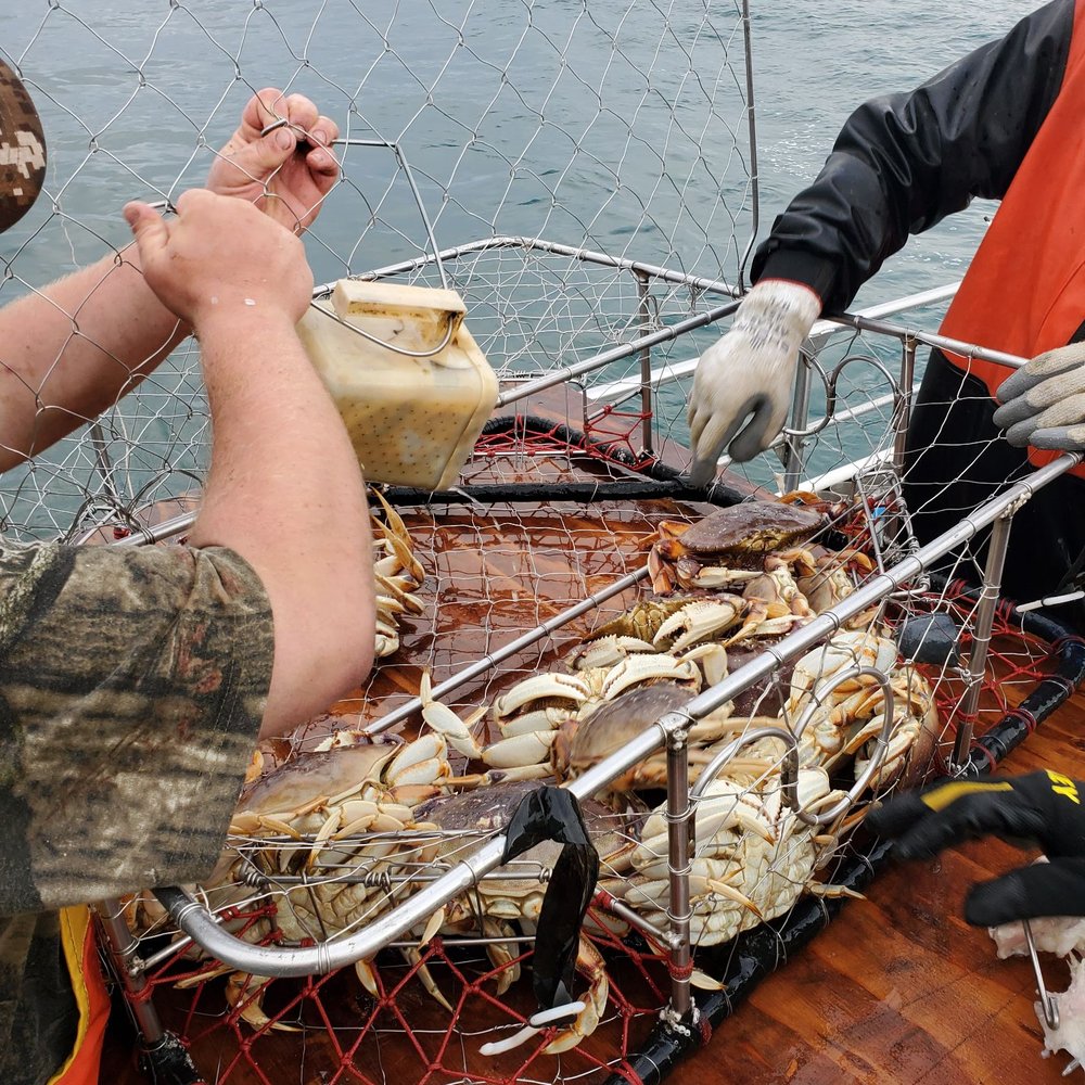 All Aboard Adventures - Fishing Near Me - Fort Bragg, California All Aboard Adventures - Fishing Near Me - Fort Bragg, California