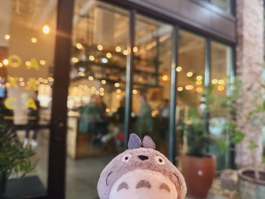 Oaxaca ATL by null Oaxaca ATL by null