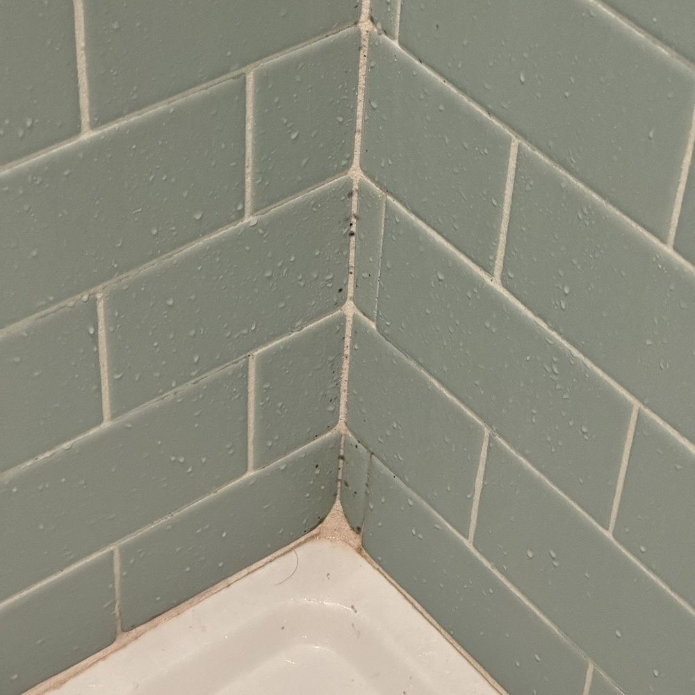 The Buzzard's Roost Bar & Inn - Uhhh... the grout is pink-ish and dirty, there is a hair that isn't ours, I just showered my 6 year old and this was there. Disappointing. - Bed & Breakfast Near Me - Laurel, Mississippi The Buzzard's Roost Bar & Inn - Uhhh... the grout is pink-ish and dirty, there is a hair that isn't ours, I just showered my 6 year old and this was there. Disappointing. - Bed & Breakfast Near Me - Laurel, Mississippi