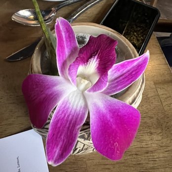 Seven Reasons - Latin American Near Me - Washington, DC, District of Columbia