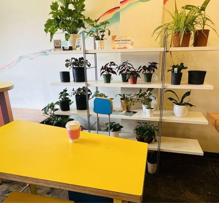 Kindness & Mischief Coffee Roasters by null