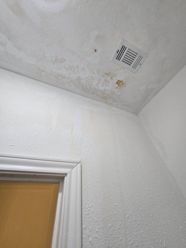 Slide of Media Construction