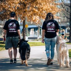 Dna K9 Cincinnati
