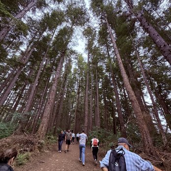Icy Strait Point - Gravel walkway - Travel Services Near Me - Hoonah, Alaska Icy Strait Point - Gravel walkway - Travel Services Near Me - Hoonah, Alaska