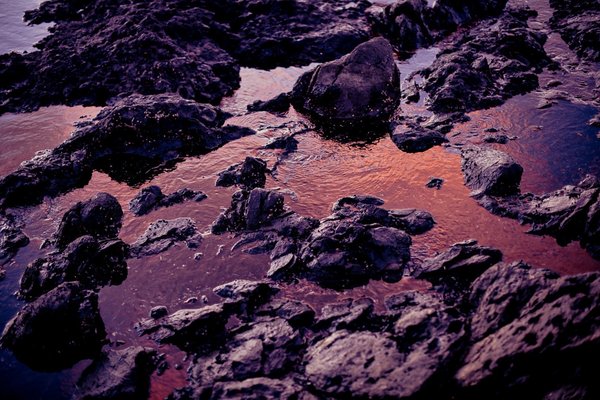 Napili Shores Maui by Outrigger by null