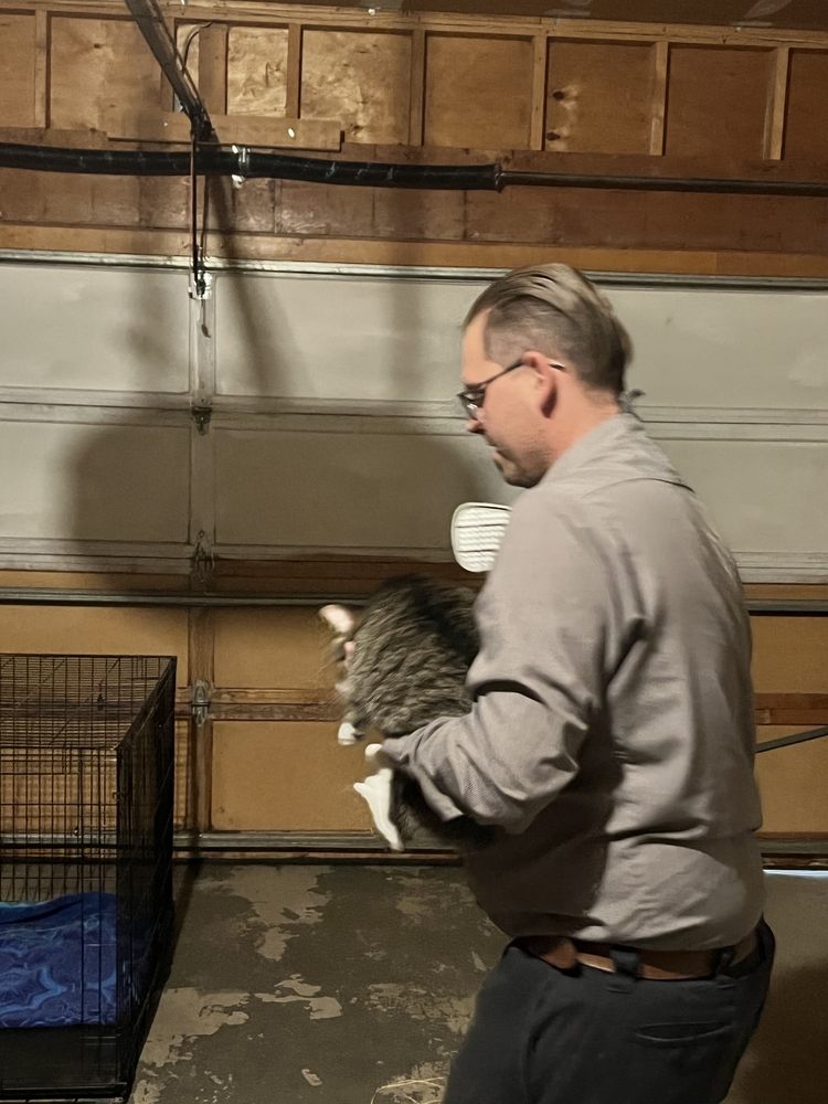 INDEPENDENT PEST CONTROL Updated October 2024 15 Photos & 39 Reviews Colorado Springs