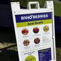 Photo of Boho Berries