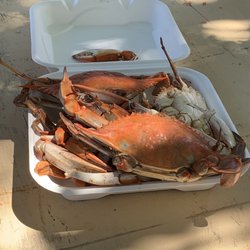 Annual Biloxi Seafood Festival - September in Gulfport gift card