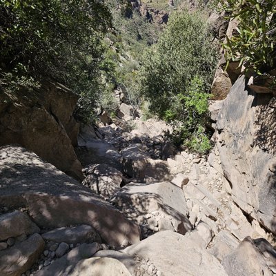 Lost Dutchman State Park by null