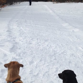 Twin Brook Recreation Center - Cross country skier on the trail - Recreation Centers Near Me - Cumberland, Maine