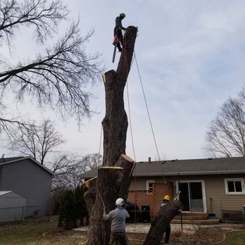 Ruben's Tree Werks - Tree Services Near Me Ruben's Tree Werks - Tree Services Near Me