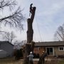 Ruben's Tree Werks