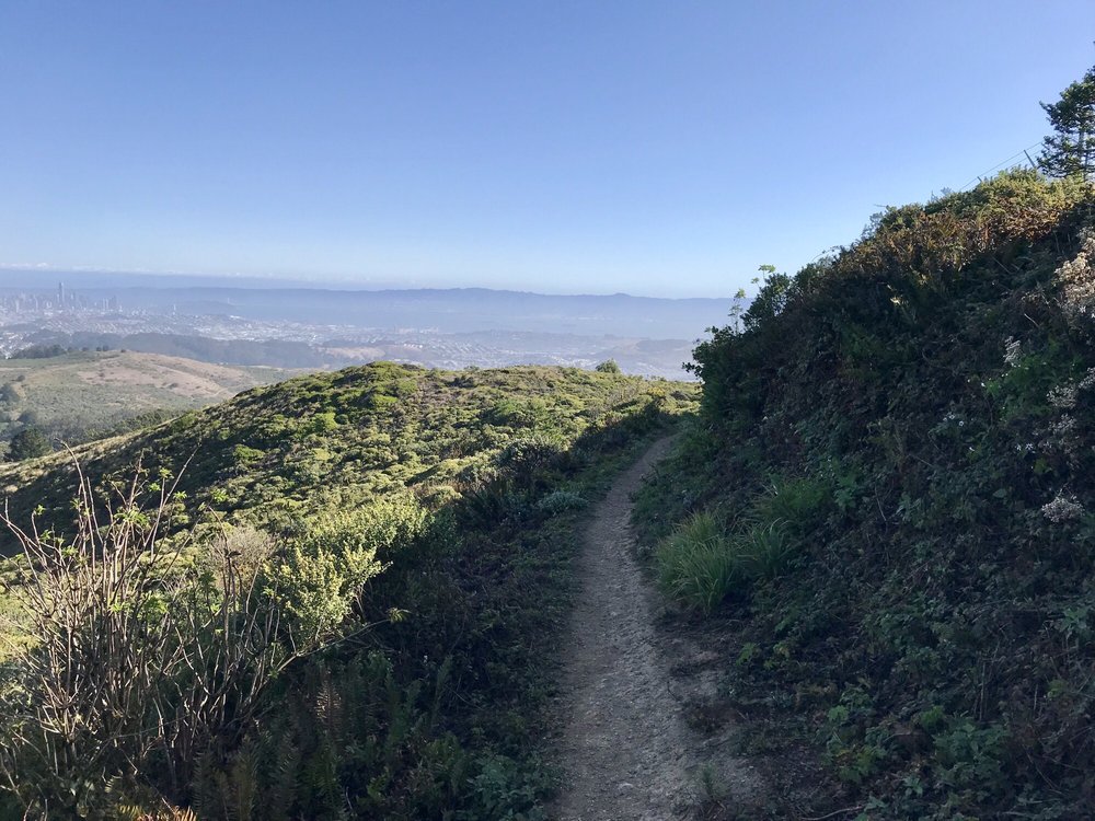 San Bruno Mountain State Park 636 Photos & 146 Reviews Parks 555