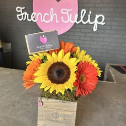French Tulip - Perfect presentation of flower arrangements!