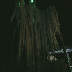 Amelia Frightfest