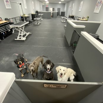 The Dog Barber - The Dog Barber - Pet Groomers Near Me - Burlington, North Carolina The Dog Barber - The Dog Barber - Pet Groomers Near Me - Burlington, North Carolina