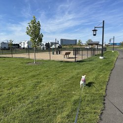Northern Quest RV Resort - Dog park