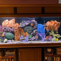 Aquatic Works - Aquarium by Aquatic Works