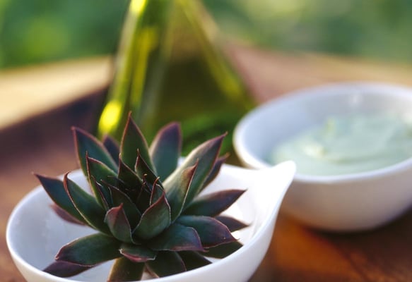 Clarksville Massage Therapy