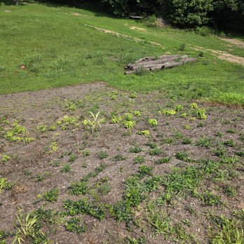 Cornerstone Lawn Services - Little to know periwinkle suppose to be 12inch on center - Snow Removal Near Me - Charles Town, West Virginia Cornerstone Lawn Services - Little to know periwinkle suppose to be 12inch on center - Snow Removal Near Me - Charles Town, West Virginia