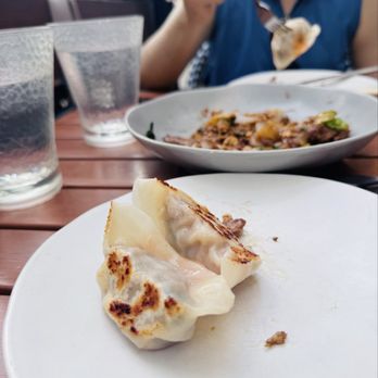 District Dumplings - Asian Fusion Near Me - Fairfax, Virginia District Dumplings - Asian Fusion Near Me - Fairfax, Virginia