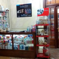 Veterinaria 24 Vet - Interior