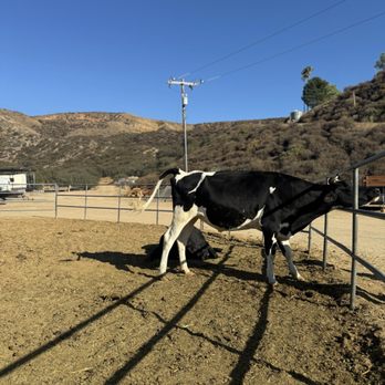 Gilchrist Farm - Horseback Riding Near Me - Santa Clarita, California Gilchrist Farm - Horseback Riding Near Me - Santa Clarita, California