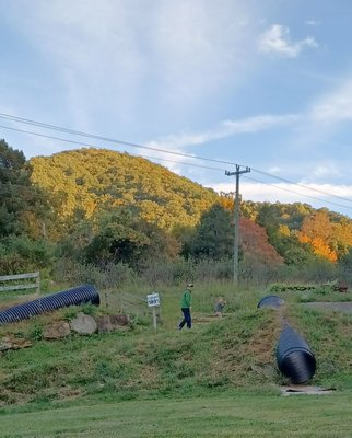 Hickory Nut Gap by null