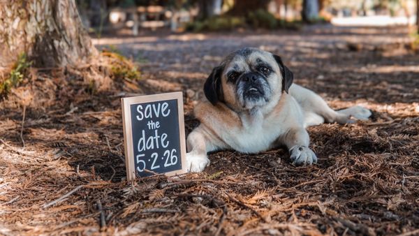 Carbon Canyon Regional Park by null