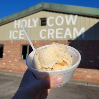 Holy Cow - a hand holding a bowl of ice cream - Ice Cream & Frozen Yogurt Near Me - Red Hook, New York
