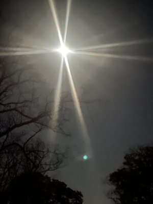 Sturges Plumbing Logo