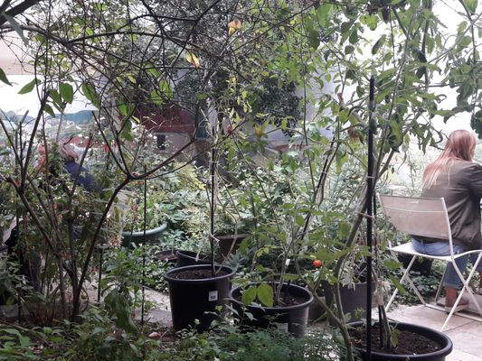 Maison Millière - Restaurant Boutique Bar à vin et Salon de thé by null