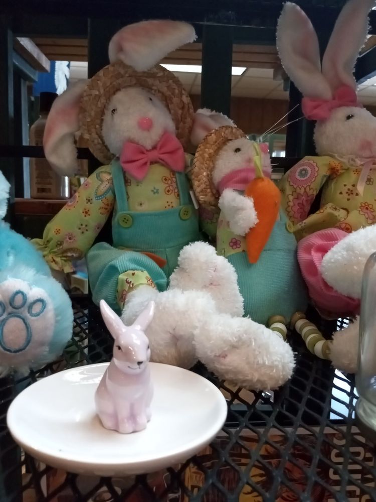 YOUNG PECAN SHELLING Updated June 2024 14 Photos Darlington Hwy